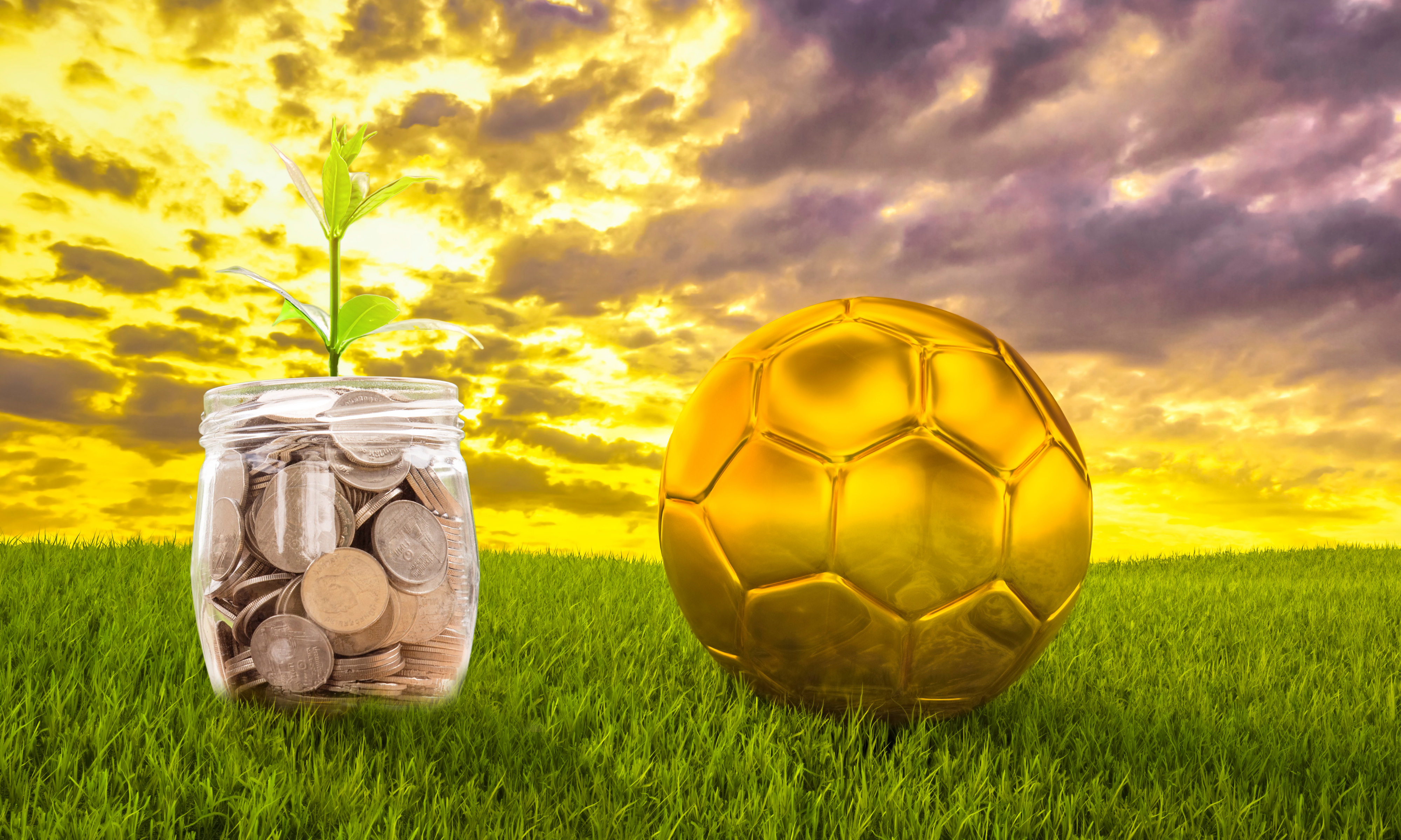 En este momento estás viendo Gestión patrimonial de deportistas profesionales